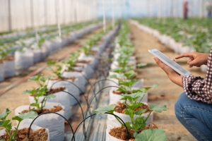 Thailand's Agri-Tech Revolution: Innovation & Growth Thailand's Agri-Tech Revolution: Innovation & Growth